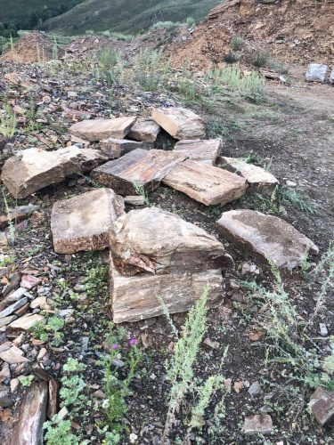 Плитняк кора дерева 50-100мм для пошаговых дорожек купить в Осе